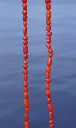 Κοράλλι Κόκκινο